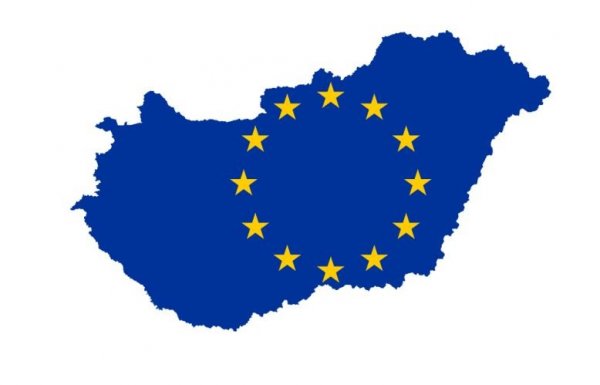 Comparing the positions of the Hungarian Government and Hungarian parties in the EP on symbolic European issues