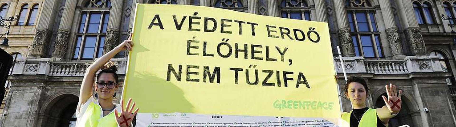 A magyarok többsége elutasítja, hogy a kormány fakivágással kezelje az energiaválságot