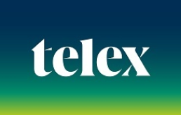 A Policy Solutions k&uuml;lpolitikai cikksorozata a Telexen 