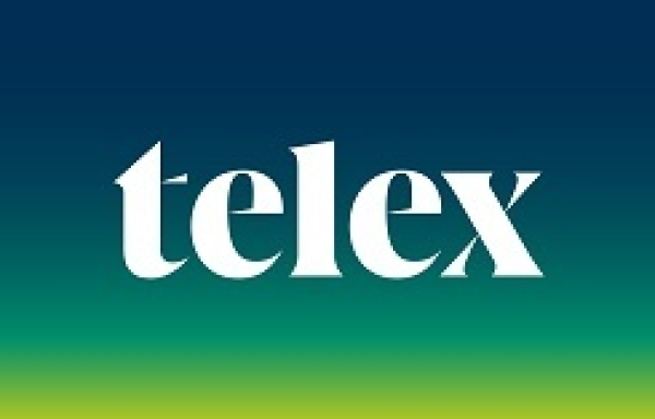 A Policy Solutions k&uuml;lpolitikai cikksorozata a Telexen 