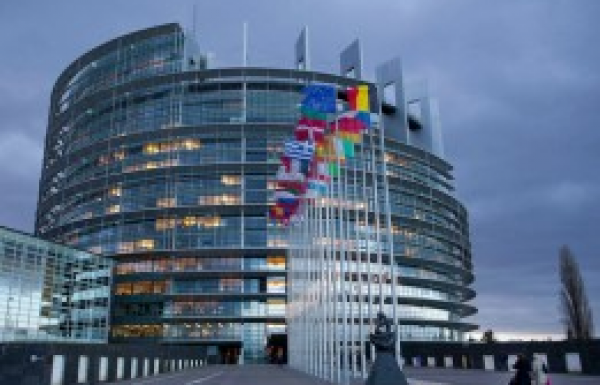 Közép-európai EP-képviselők és szerepeik 